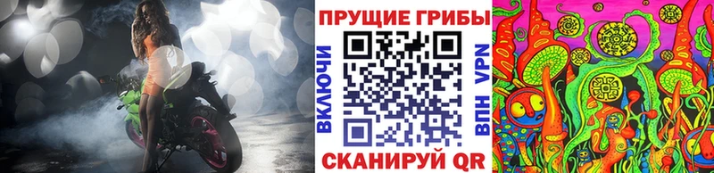 хочу   Гурьевск  Галлюциногенные грибы Psilocybine cubensis 